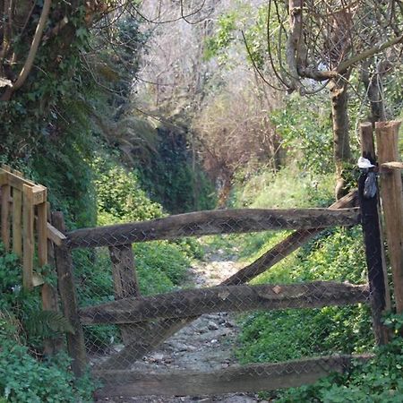 Gestiona2R - La Casina De Cirienu, Ideal Para Desconectar Pen Buitenkant foto